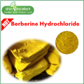 Berberinhydrochlorid 97% Kräuterextrakt